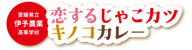 恋するじゃこカツキノコカレー