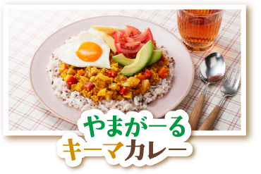 やまがーるキーマカレー